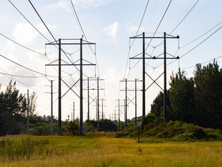 Power Lines 