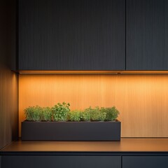 green plant in a room