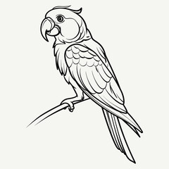 Hand-drawn Parrot Illustration - Black and White Line Art