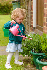 Two year old child gardening watering the plants in the garden, England, UK