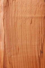 Textured wood structure. Natural background - rough surface of broken tree trunk