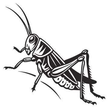 black and white grasshopper side view clip art preview