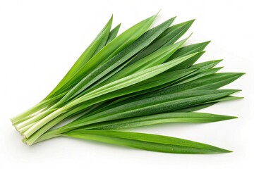 Fresh pandan leaves isolated on transparent background