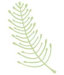 Pastel Flower green leaf leaves digital crayon pencil png