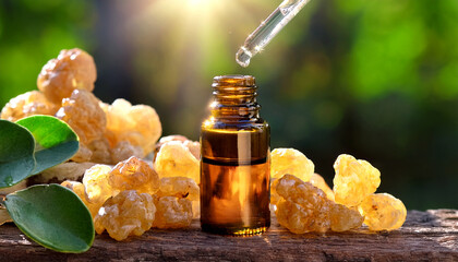 Frankincense essential oil, Egypt Óleo Essencial de Olíbano, next to Frankincense resins, next to a Boswellia carterii tree Olíbano Amber glass bottle with a glass pipette, Sun,  Cosmetic Natural
