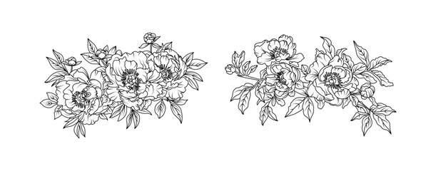 Peony flower arrangement line art on white background. Silhouette peony botanical hand drawn element for wedding, invitation frame design, vector illustration © abcvector