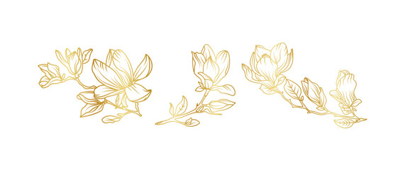 Luxury gold magnolia flowers background. Floral pattern tropical in line art style for greeting, invitation, wedding card, wall art, wallpaper and print. Vector illustration © abcvector