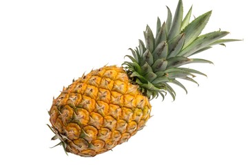 Fototapeta premium Ripe Pineapple