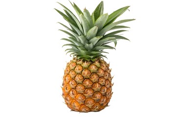 Fresh Pineapple on Black Background