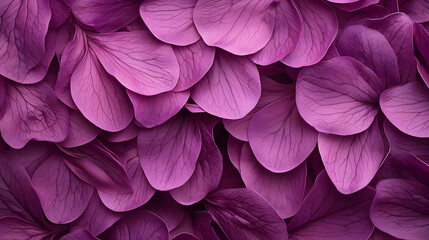 Naklejka premium Close Up Purple Flower Petals Background