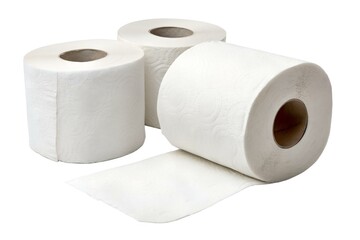 Three Rolls of Toilet Paper