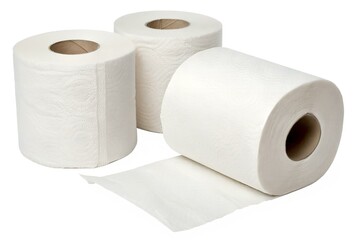 Toilet Paper Rolls