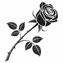 black and white rose