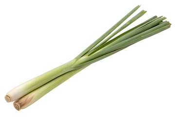 Fresh Lemongrass Stalks