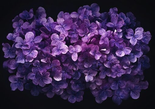 A vibrant cluster of purple flowers