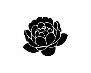 creative details Peony Flower Icon vector illustration © designbari01