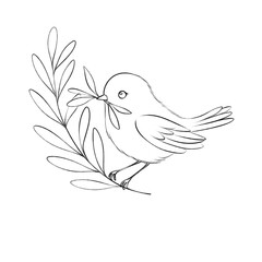 Delicate line art of a bird holding an olive branch, symbolizing peace, hope, and harmony, ideal for coloring and inspirational designs.