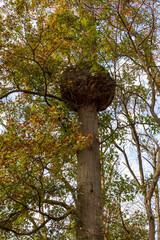 Katelyn Park and Saddle River Park in New Jersey. Scenic fall landscape.