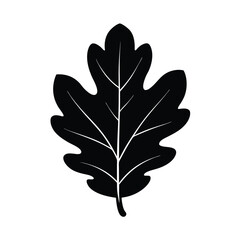 Fototapeta premium Oak leaf vector silhouette, a nature symbol of autumn, isolated on white