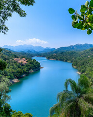 Serene mountain lake vista framed by lush greenery