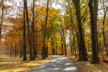 Katelyn Park and Saddle River Park in New Jersey. Scenic fall landscape.