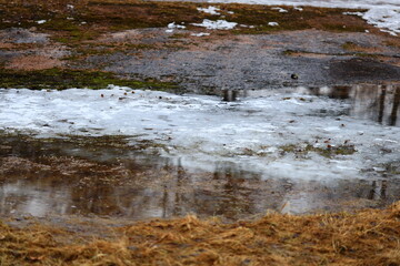 A frozen puddle with ice on the ground, perfect for winter scenes and cold weather themes.