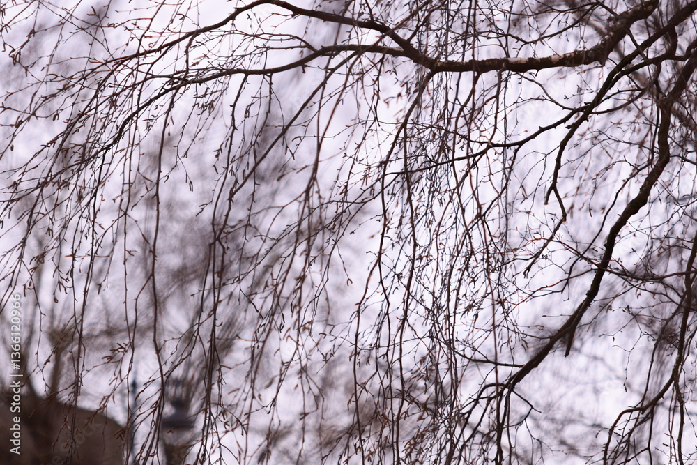 Poster A bird sitting on a tree branch.