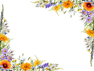 Fototapeta premium Bright frame of wildflowers isolated on white background. Design element for creating cards, frames, invitations, floral designs.