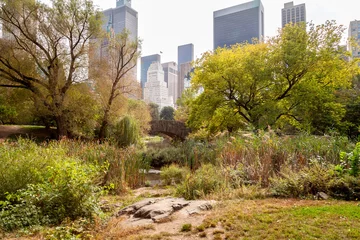Autumn scenery in Central Park with Gapstow Bridge and city skyline in October. Image showcase urban nature at the start of the fall season with lush vegetation. 