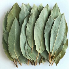 Obraz premium Fresh bay leaves arrangement for culinary and herbal use on light background