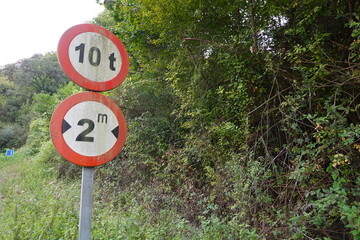 Two old road signs show a 10-ton weight limit and 2-meter width restriction, placed along a rural road, surrounded by dense vegetation.