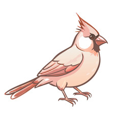 Obraz premium A beautiful pink cardinal illustration with a black mask, standing on the ground, facing right. The illustration is simple and whimsical, capturing the essence of this popular North American songbird.