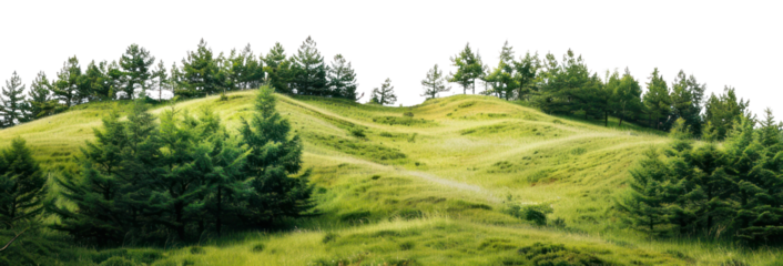 PNG Pine-covered hills vegetation landscape scenery.
