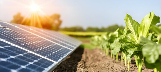 Fototapeta premium Sunlit solar panels rest beside vibrant, healthy crops in a sunny field, showcasing sustainable energy and agriculture
