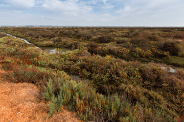 Fototapeta premium Marismas del Duque rio Guadalquivir