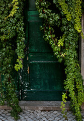 Portón de entrada en una casa con muchas enredaderas