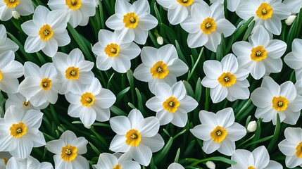 A spring flower pattern that repeats without breaks. Great for weddings, birthdays, and parties. Use it for banners, posters, cards, invites, and scrapbooks.