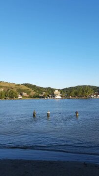 pesca com botos em laguna, santa catarina
