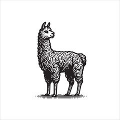 Fototapeta premium Simple Llama Standing Vector Icon – Vintage Logo & Retro Illustration