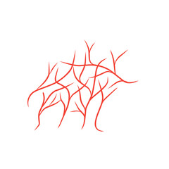 red vein illustration