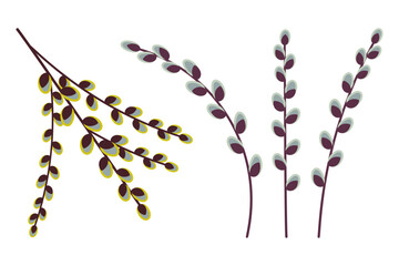 Pussy willow branches - spring natural decor set isolated on white