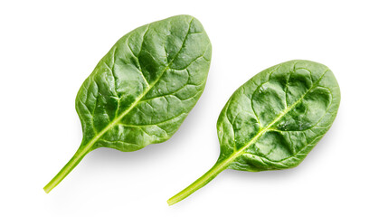 Two green leaves of spinach are shown on a white background.