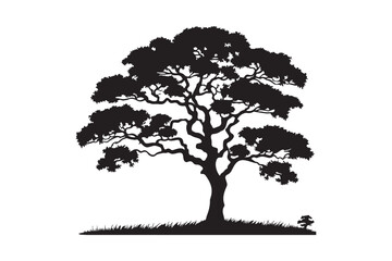 Fototapeta premium Tree Vector Image silhouette illustration on white background