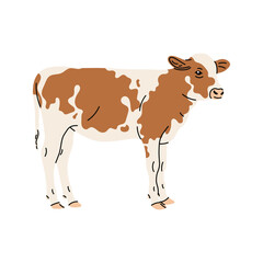 Flat style vector illustration of a calf. Cute and gentle design of a baby farm animal, drawn in a minimal and soft cartoon style. Kids materials, posters, stickers, web design, and nursery art,  farm