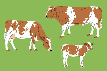 Flat style vector illustration of a cow, bull, and calf. Simple cartoon design color background. Clean minimal style, farm animals, children’s books, spring projects, web design, domestic livestock. 