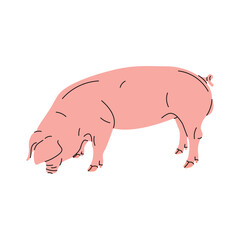 Cute flat pig illustration – cartoon farm animal vector. Kids' materials, posters, stickers, web design, and nursery art,  farm-themed. Vector image of a smiling pink pig in a flat cartoon style. 
