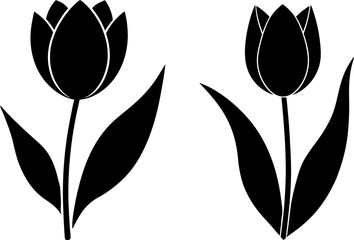 Tulip flower vectors collection black and white, Vector of cute flowers line art set design