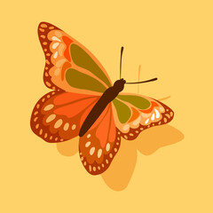 Hand drawn beautiful butterfly. Colorful vector. Flying butterfly top view. Pastel colors. Fashion isolated illustration.