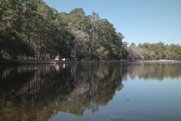 Obraz premium Lake view of forest and structure with strong reflection - landscape