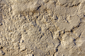 Rough Concrete Plaster Wall Texture with Natural Imperfections